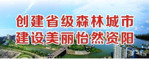 东北处女操逼视频创建省级森林城市 建设美丽怡然资阳